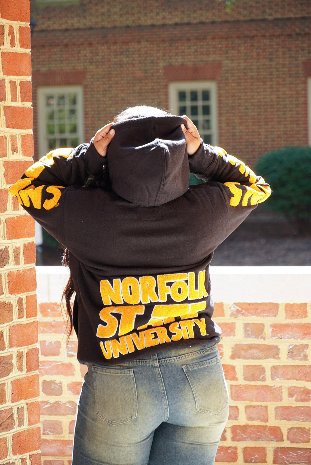 Black Norfolk State Concert Hoodie