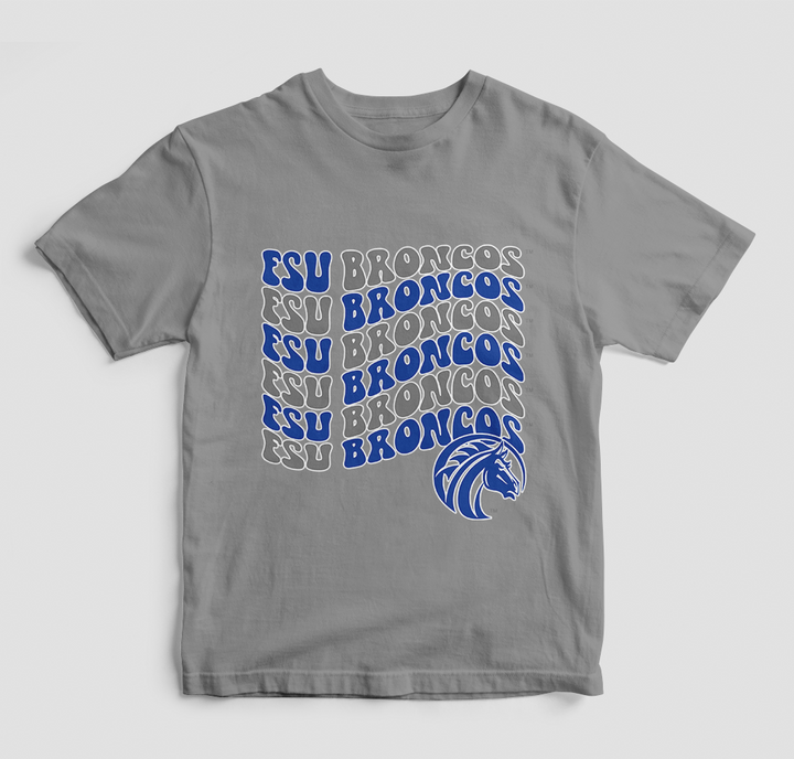 Groovy FSU Broncos T-Shirt (Various Colors)