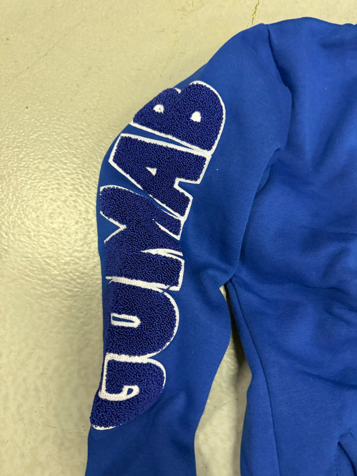 Phi Beta Sigma Concert Hoodie