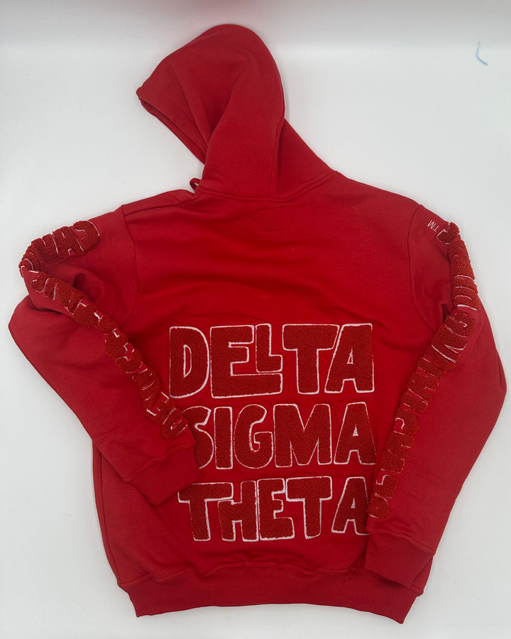 Red DST CONCERT HOODIE