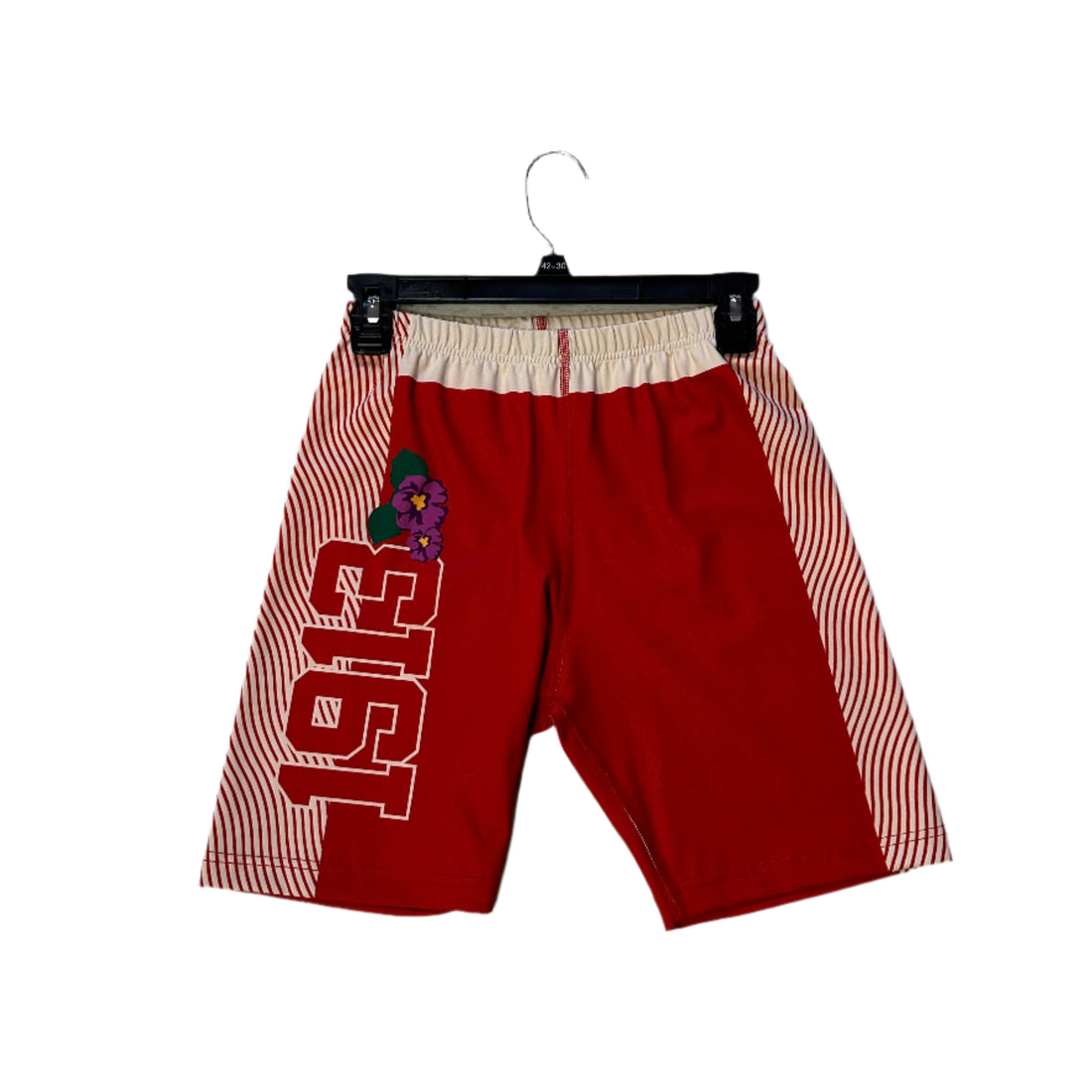 Delta Sigma Theta Biker Shorts