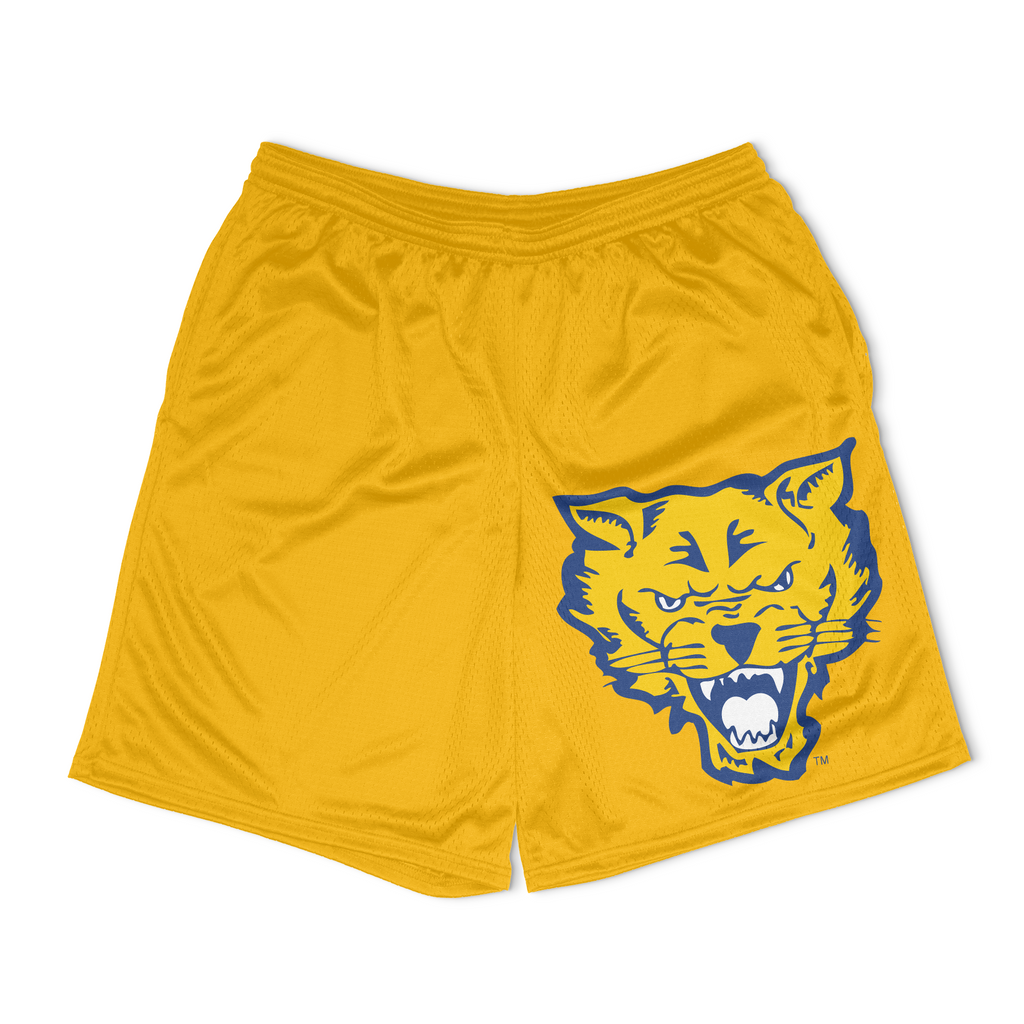 Basic shops basketball shorts