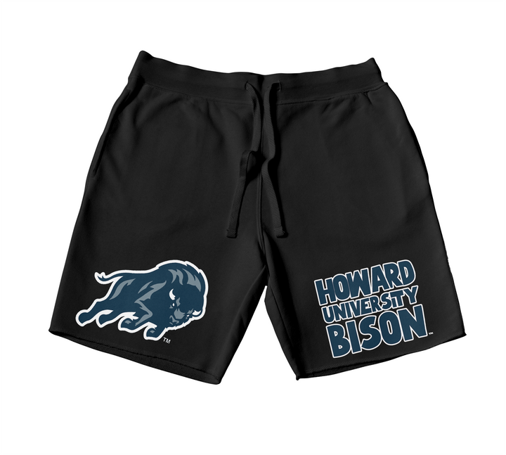 QUAD Howard University Bison