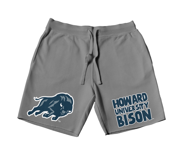 QUAD Howard University Bison