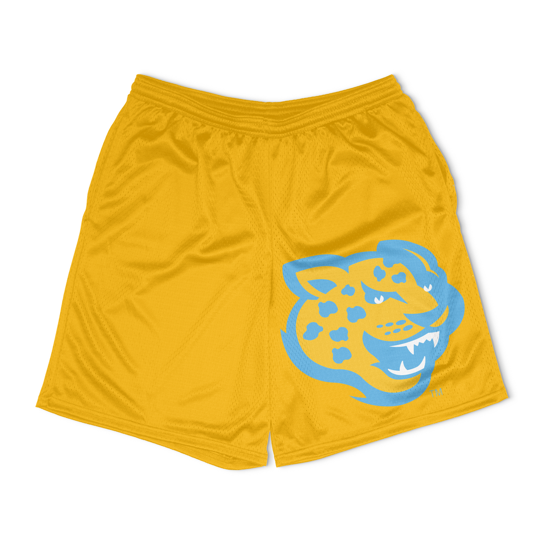 Southern Basic Mesh Shorts