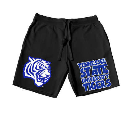 QUAD Tennessee State University Tigers