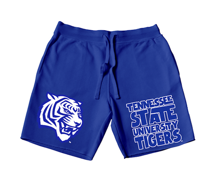 QUAD Tennessee State University Tigers