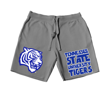 QUAD tennessee State University Tigers