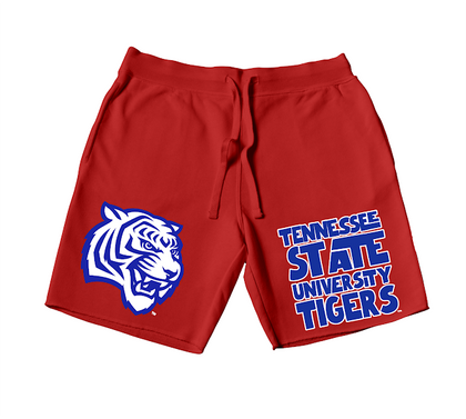 Quad Tennessee State University Tigers