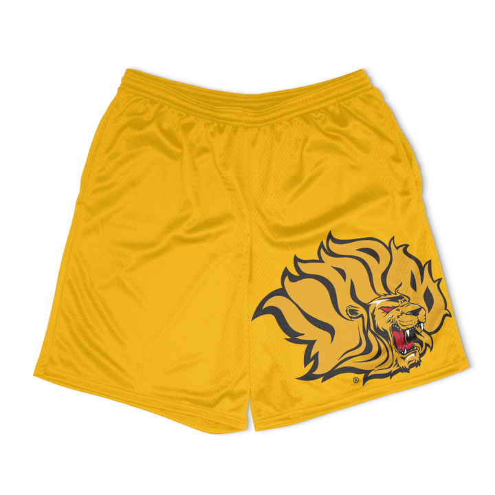 UAPB Basic Mesh Shorts