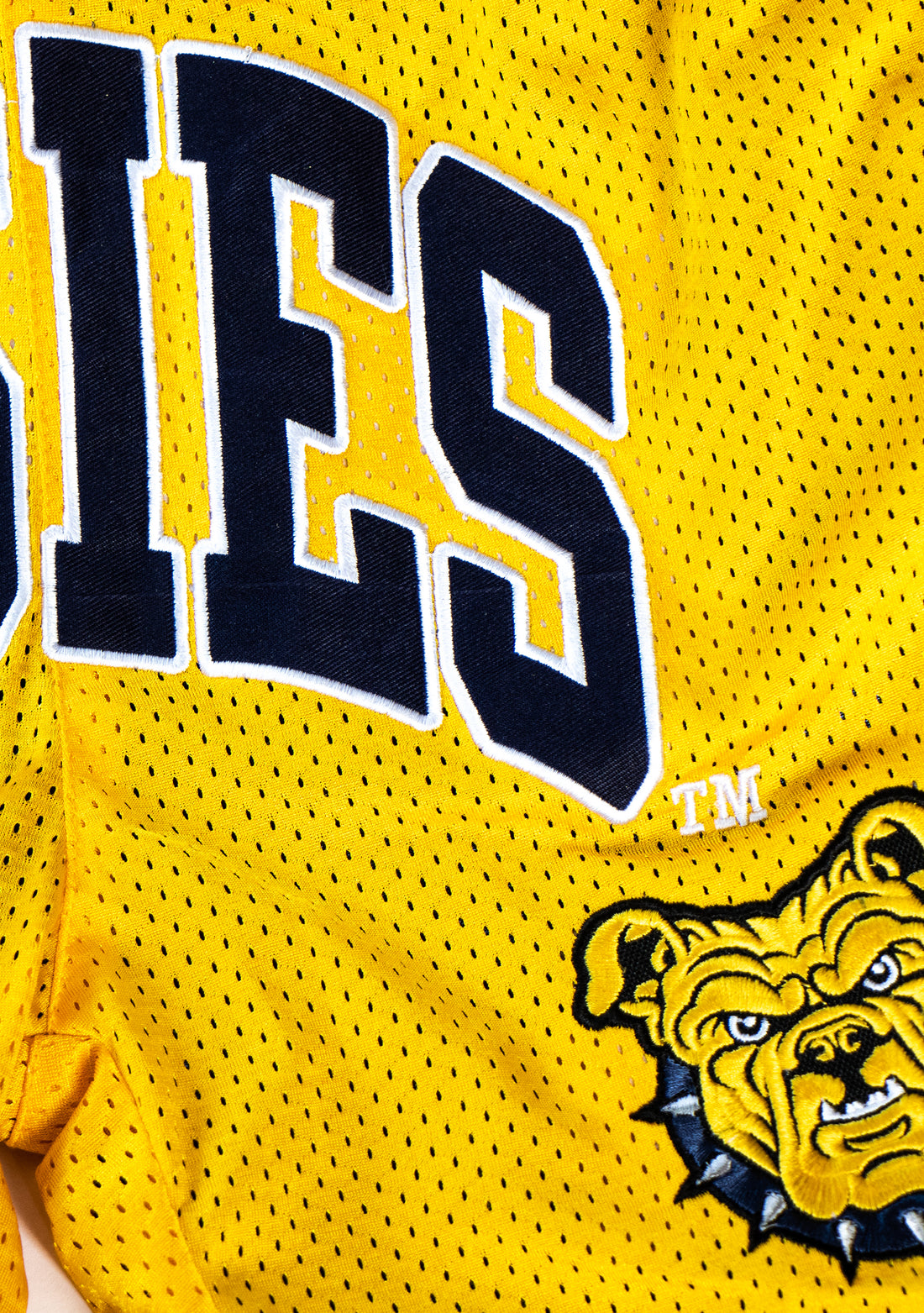 NC A&T Reversible Basketball Shorts