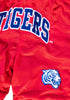 Tennessee State Reversible Basketball Shorts