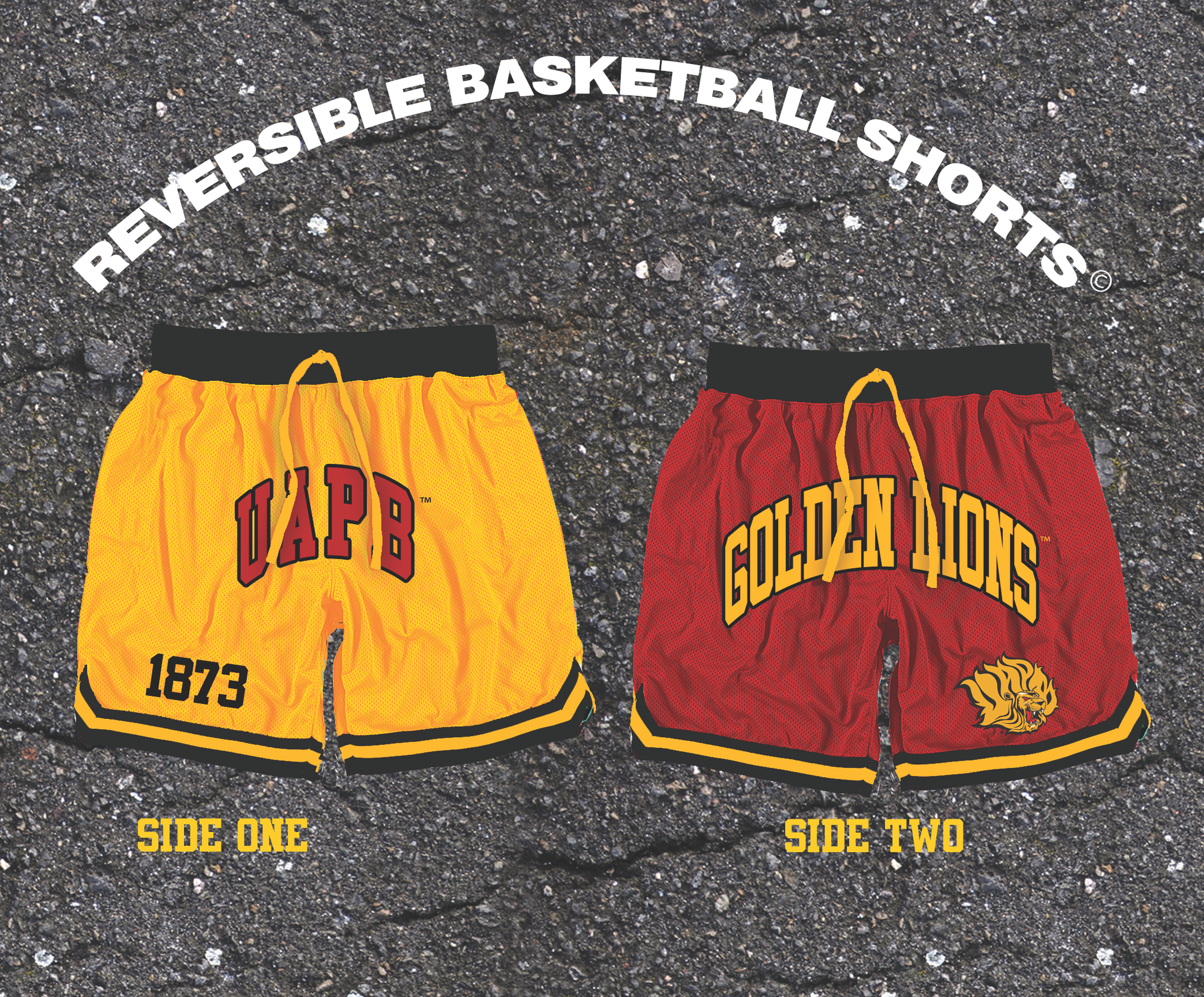 Reversible UAPB Basketball Shorts Tones of Melanin