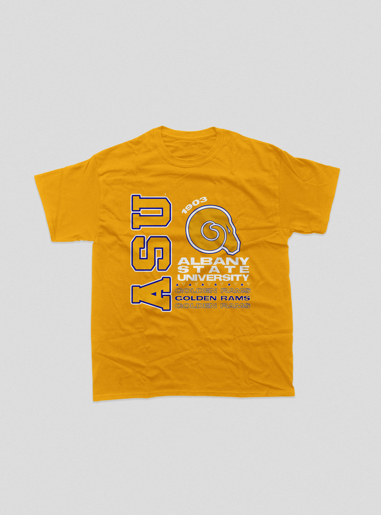 Albany State Tour Tee (Various Colors)