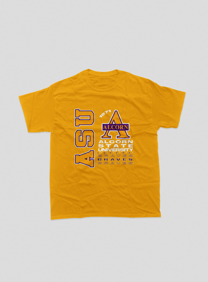 Alcorn  State Tour Tee (Various Colors)