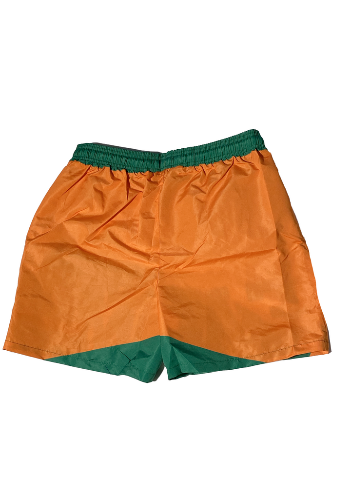 FAMU SUMMER SHORTS MADE TO ORDER