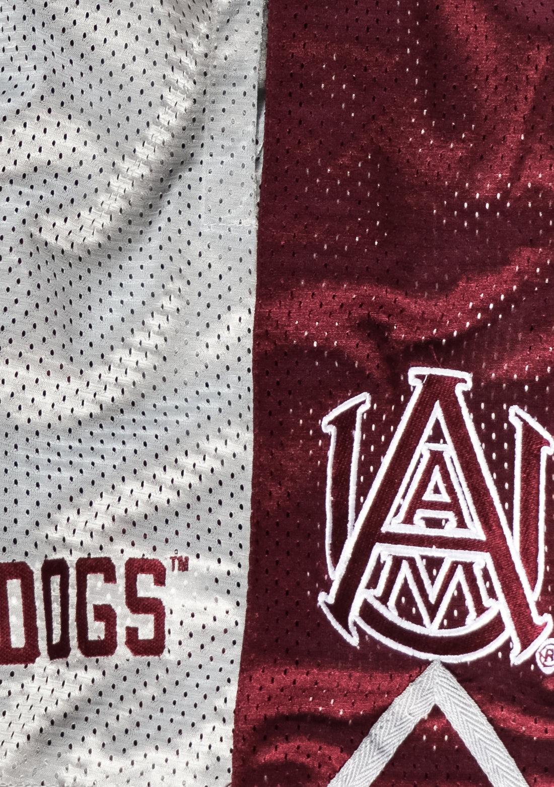 AAMU Reversible Basketball Shorts