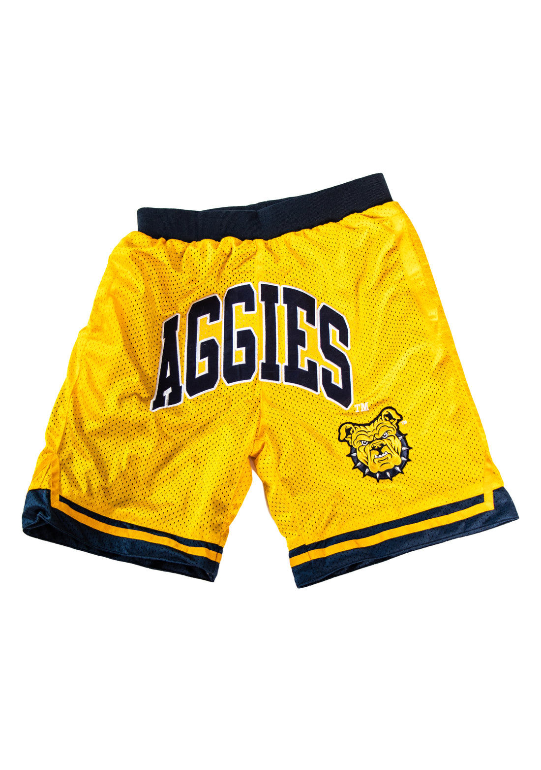 NC A&T Reversible Basketball Shorts