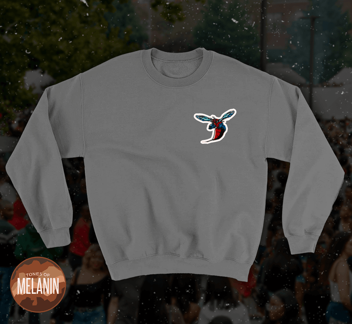 Delaware State Grey Crewneck - Tones of Melanin