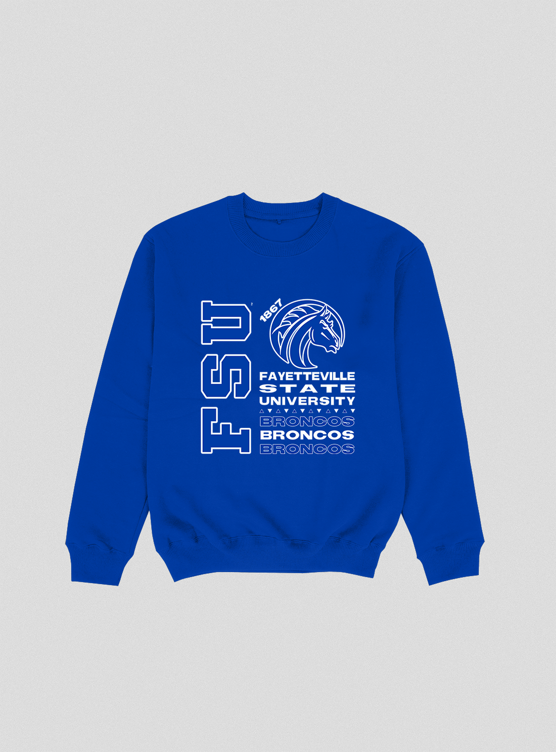 Fayetteville State Tour Crewneck (Various Colors)