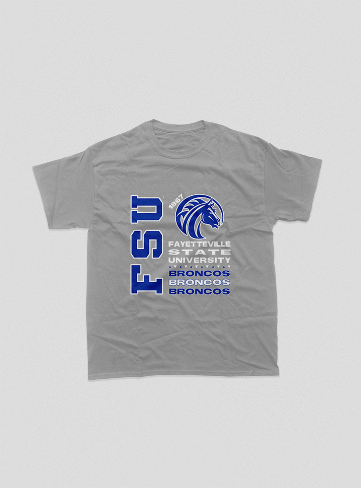 Fayetteville State Tour Tee (Various Colors)