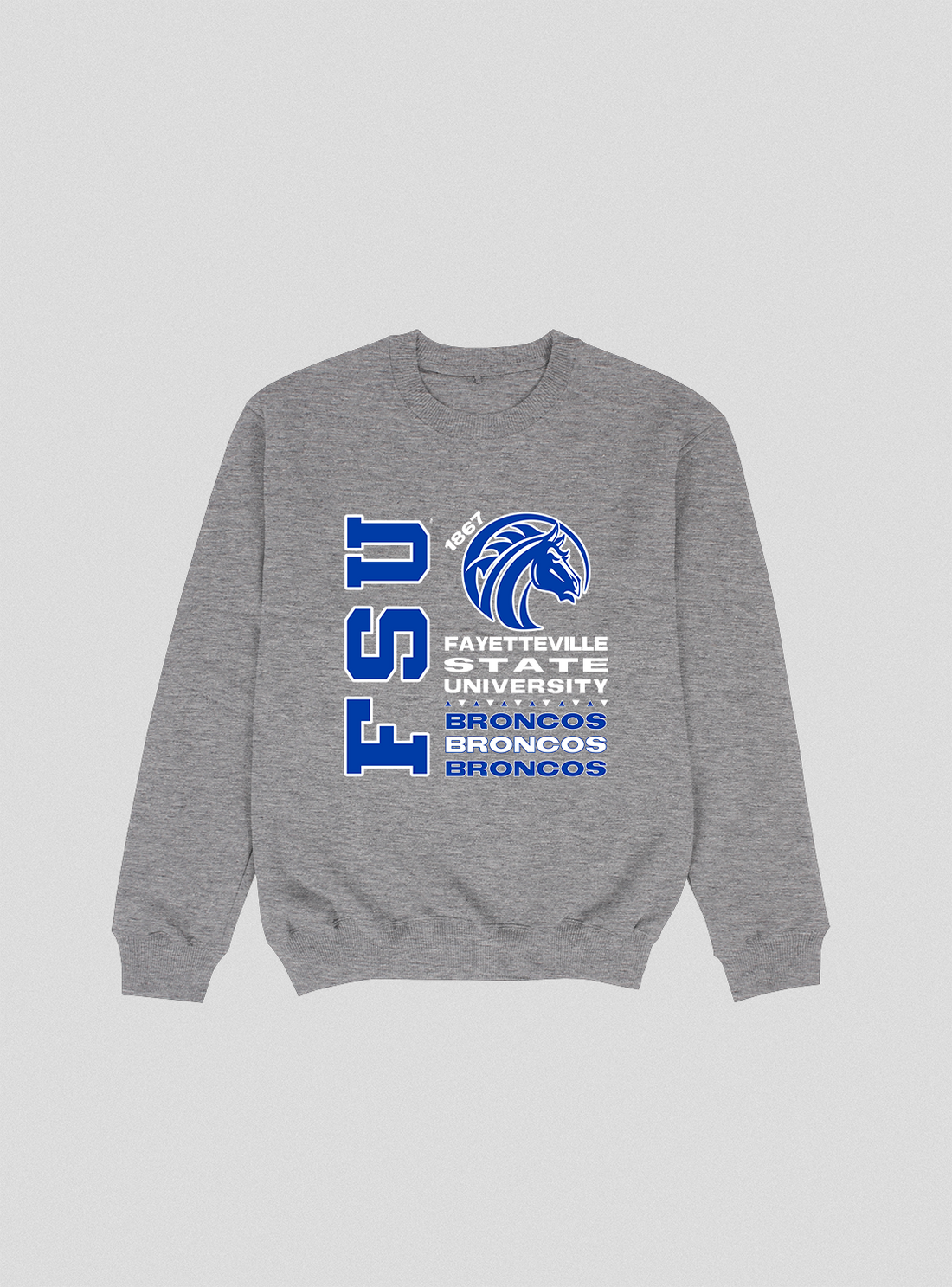 Fayetteville State Tour Crewneck (Various Colors) FINAL SALE