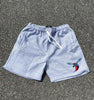 Delaware State Jogger Shorts