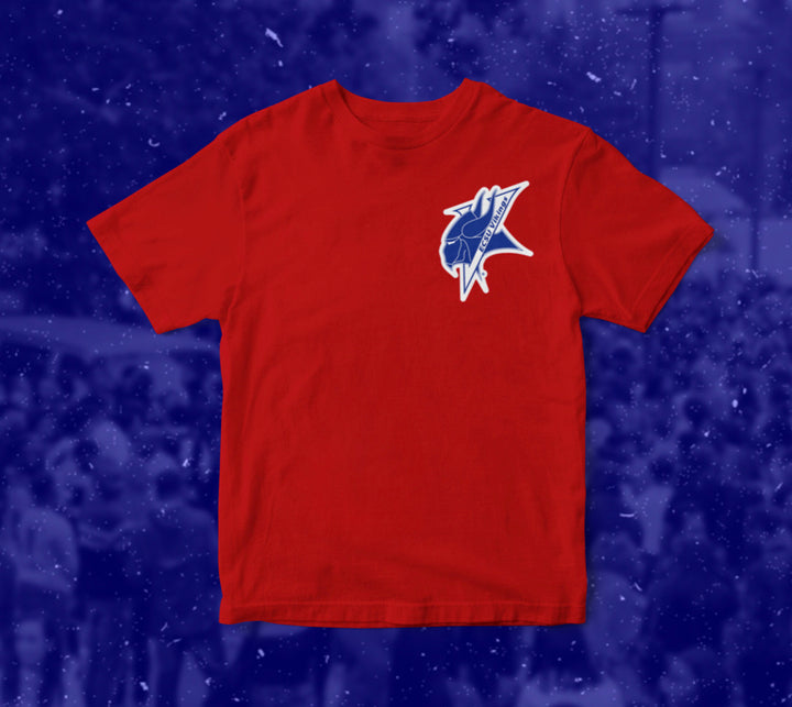 Red Vikings T-Shirt - Tones of Melanin