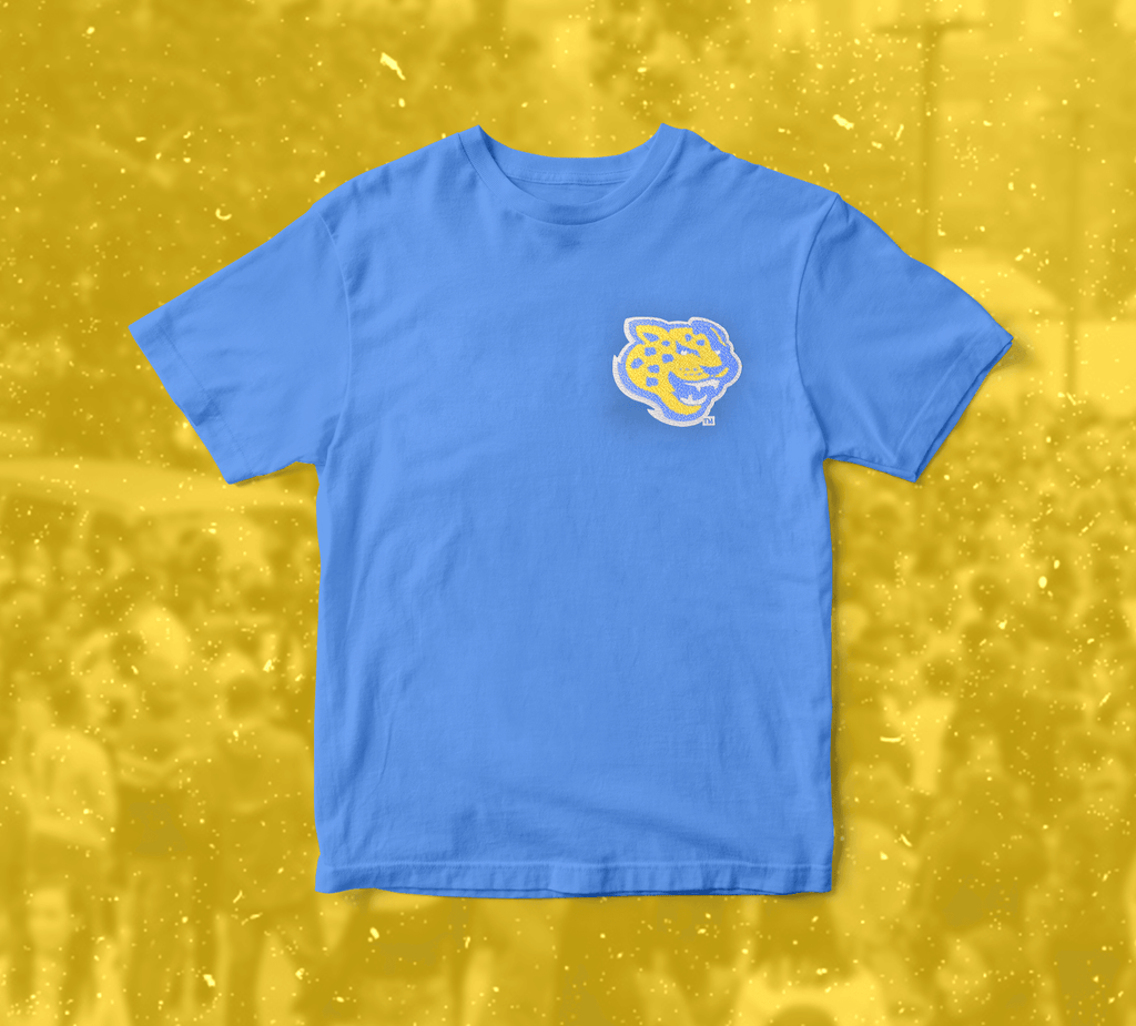 Blue southern T-Shirt - Tones of Melanin