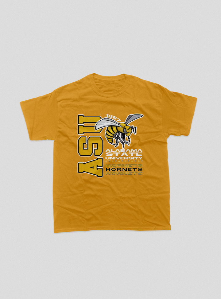 Alabama State Tour Tee (Various Colors)