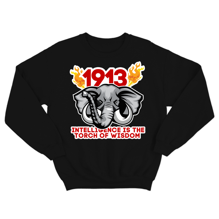 Intelligence is the torch of wisdom Sweatshirt (various colors)