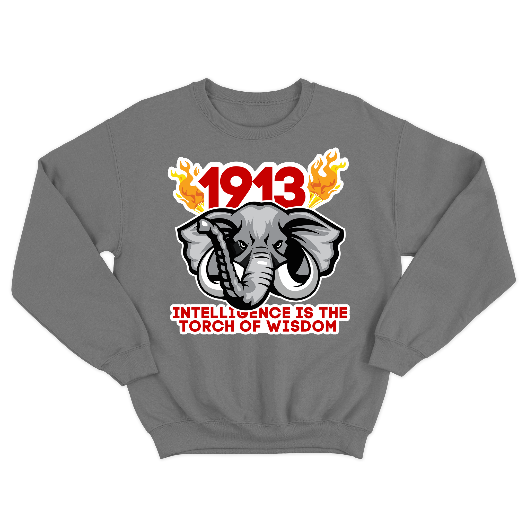Intelligence is the torch of wisdom Sweatshirt (various colors)